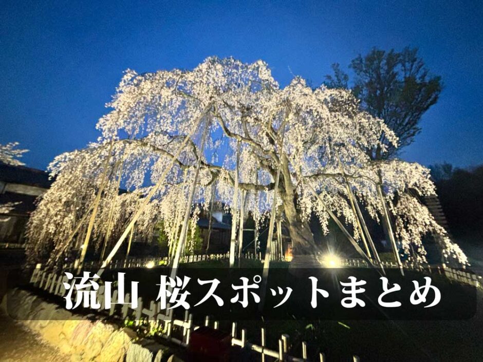 流山市内の最新花見スポット５選！お散歩？サイクリング？気軽に行ける近場の花見名所まとめ