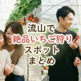 流山で絶品いちご狩りスポットまとめー美味しい品種を食べ比べしてみようー