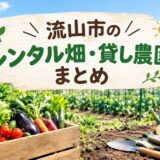 【流山市】レンタル畑・貸し農園まとめ｜初心者でも野菜作り！手ぶら・無農薬対応も