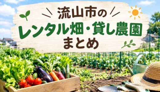 【流山市】レンタル畑・貸し農園まとめ|初心者でも野菜作り!手ぶら・無農薬対応も