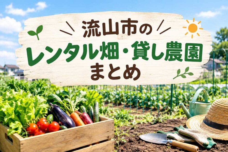 流山市のレンタル畑・貸し農園まとめ｜野菜作りを楽しめる畑