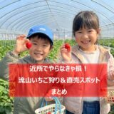 流山のいちご狩り／直売スポット５選【２０２６年最新まとめ】－近所で美味しい品種を食べ比べしよう♪
