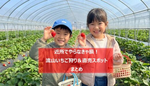 流山のいちご狩り／直売スポット５選【２０２６年最新まとめ】－近所で美味しい品種を食べ比べしよう♪
