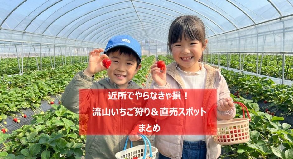 流山で絶品いちご狩りスポットまとめー市内！近場！美味しい品種を食べ比べ！ー
