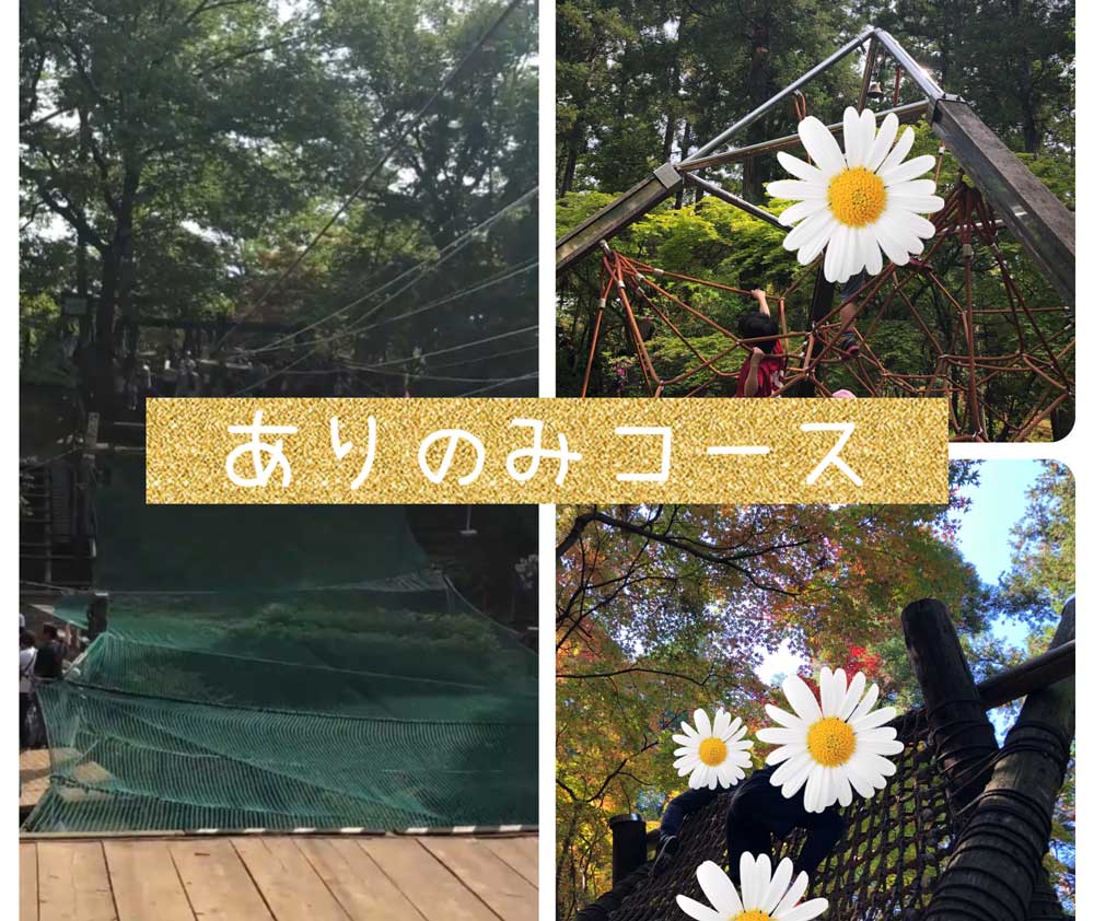 レベル8ありのみコース:流山より車で約30分