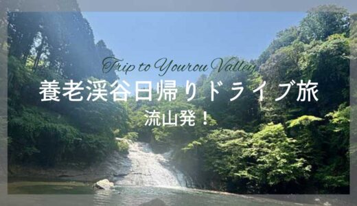 【流山発片道2.5時間】養老渓谷&チバニアン温泉日帰り旅行－大満足のドライブ旅－