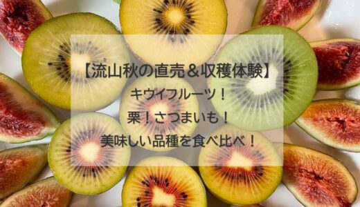 【流山秋の収穫体験】キウイフルーツ！栗！さつまいも！９～１１月秋の収穫＆直売スポットまとめ－近場で美味しい品種を食べ比べ！