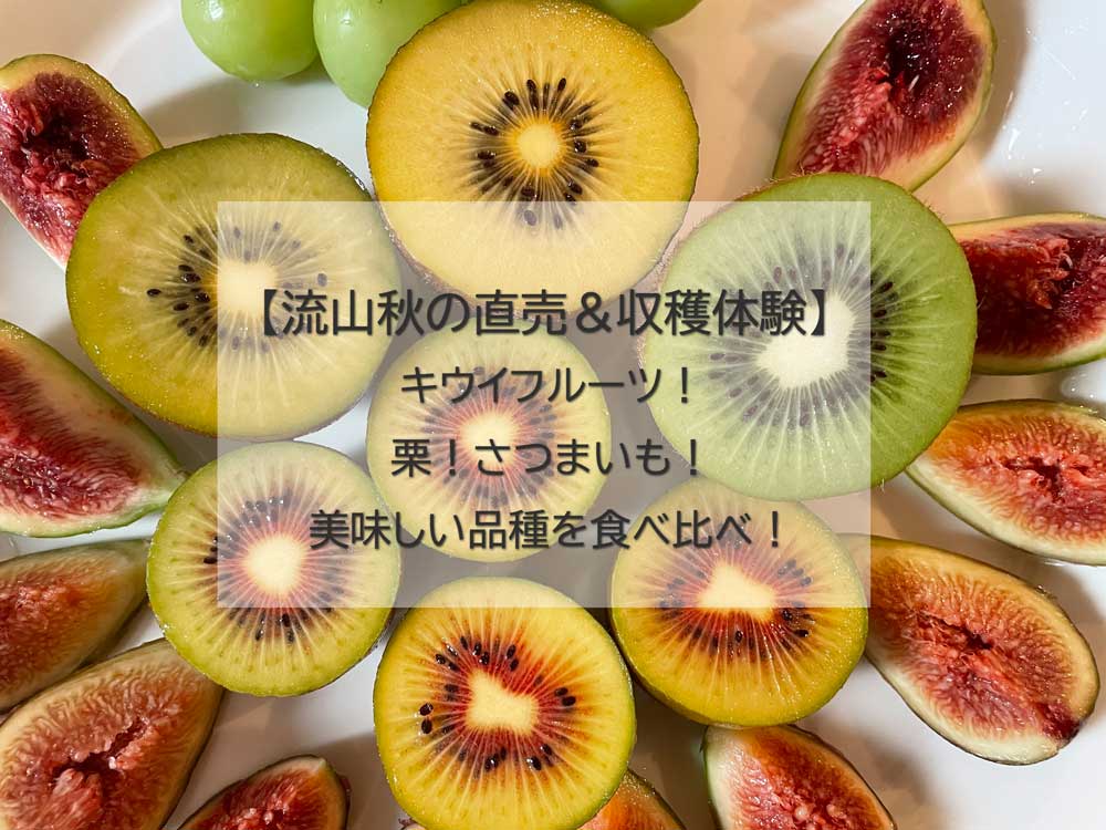 流山秋の収穫体験】キウイフルーツ！栗！さつまいも！9～11月秋の