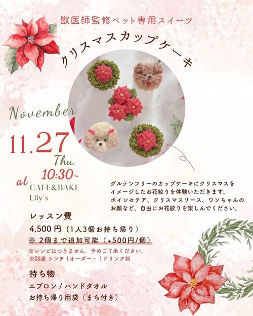 流山のクリスマスイベントまとめ：獣医師監修ペット用スイーツクリスマスカップケーキ作り＠CAFE&BAKE Lily's