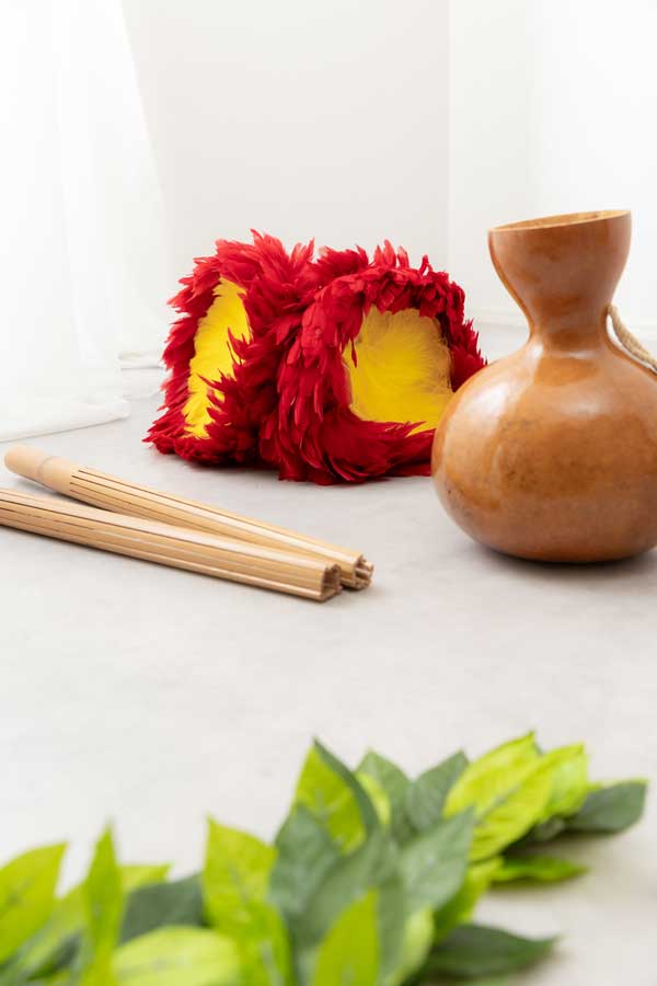 【フラダンス教室】リコプア流山：フラダンスの道具