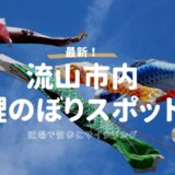 【2026】流山市内の鯉のぼりスポット3選！子連れ散歩やサイクリングに最適な穴場を徹底解説