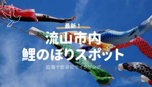 【2026】流山市内の鯉のぼりスポット3選!子連れ散歩やサイクリングに最適な穴場を徹底解説