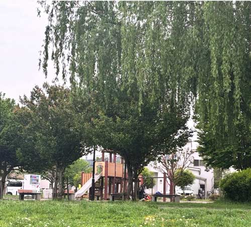 流山市の「大堀川水辺公園」には複合遊具とぶらんこあり