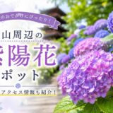 流山周辺の紫陽花スポット特集｜本土寺・あじさい通りなど初夏のお出かけ情報