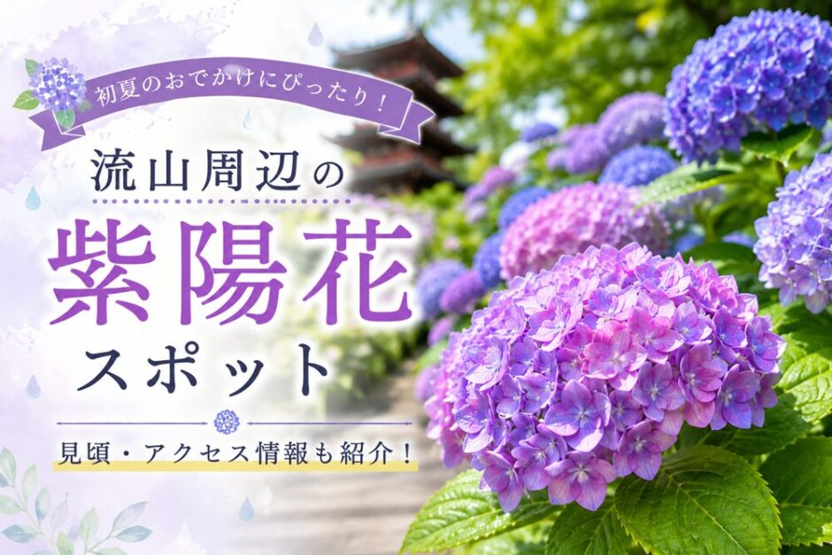 流山周辺の紫陽花スポット特集｜本土寺・あじさい通りなど初夏のお出かけ情報