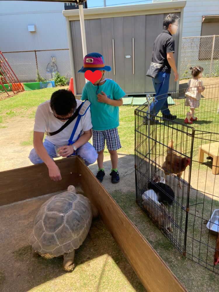 附属幼稚園の子どもの庭マルシェ:まちの動物園による動物ふれあいコーナーの様子(カメ)