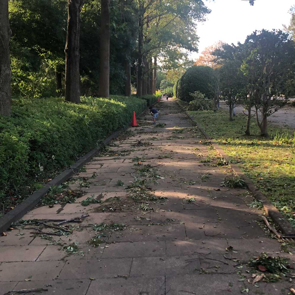 台風翌日の柏の葉公園